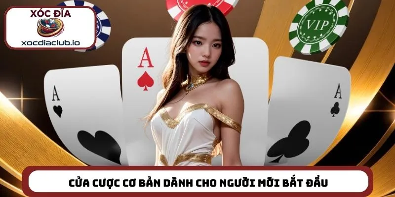 Cửa cược cơ bản dành cho người mới bắt đầu