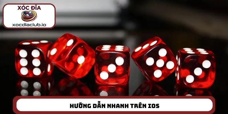 Hướng dẫn nhanh trên iOS